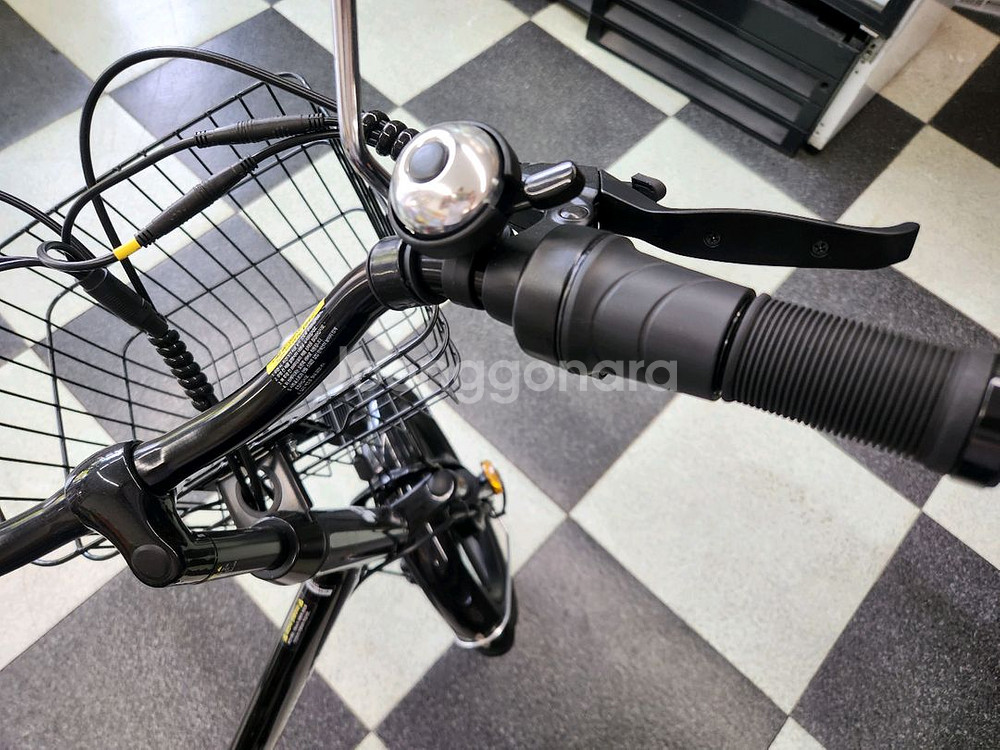 삼천리세발 전기자전거--2