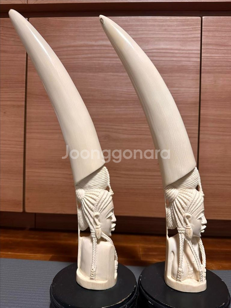 통 상아 조각 있는 리얼 천연상아 2개 1set 일괄--0