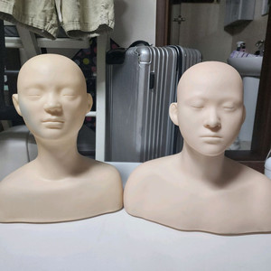 데콜테마네킹 ..남자..여자