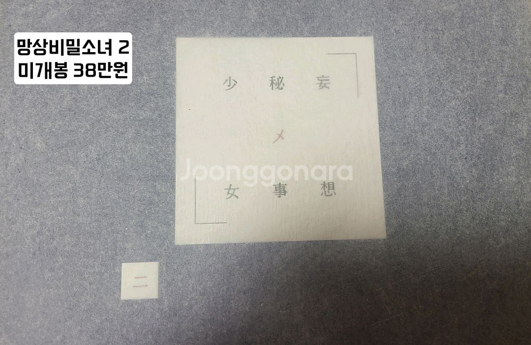 망상 비밀소녀 파이즈리엘자매 외 네이티브 피규어 팝니다--0