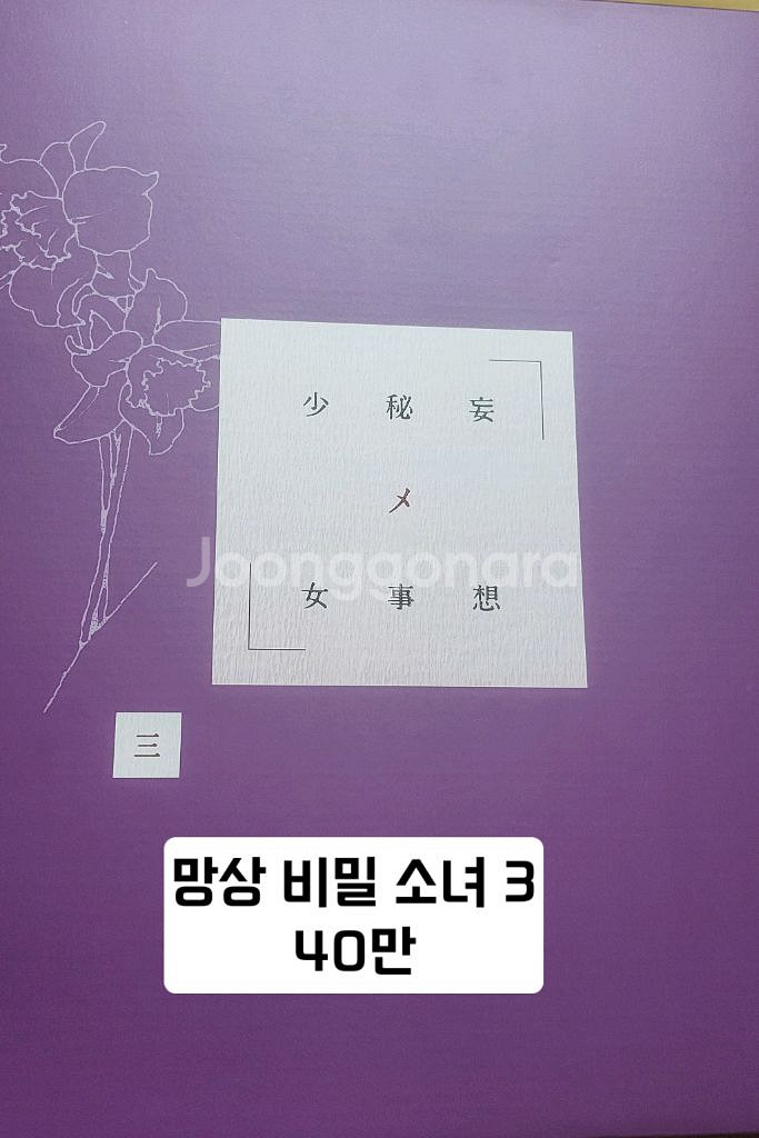 망상 비밀소녀 파이즈리엘자매 외 네이티브 피규어 팝니다--1