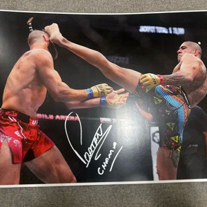 알렉스 페레이라 친필 싸인 사진 a3크기