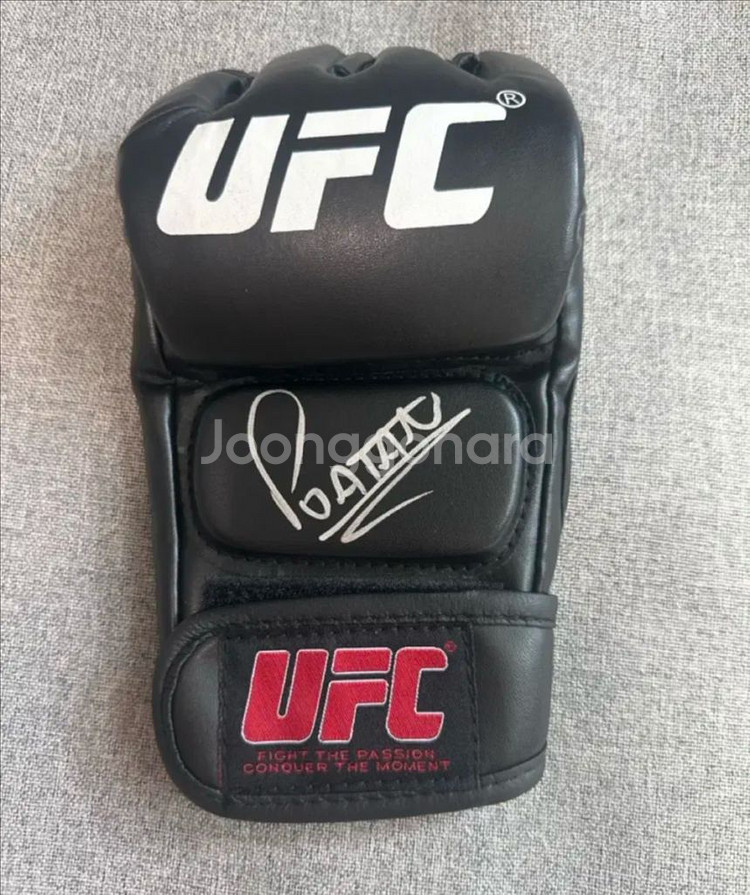 알렉스 페레이라 친필 싸인 글러브--0