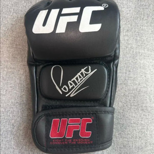 알렉스 페레이라 친필 싸인 글러브