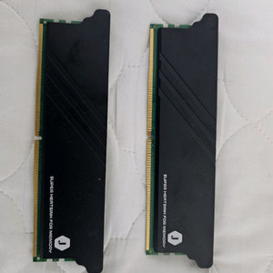 SK하이닉스 DDR5-4800 16GB x2 A다이