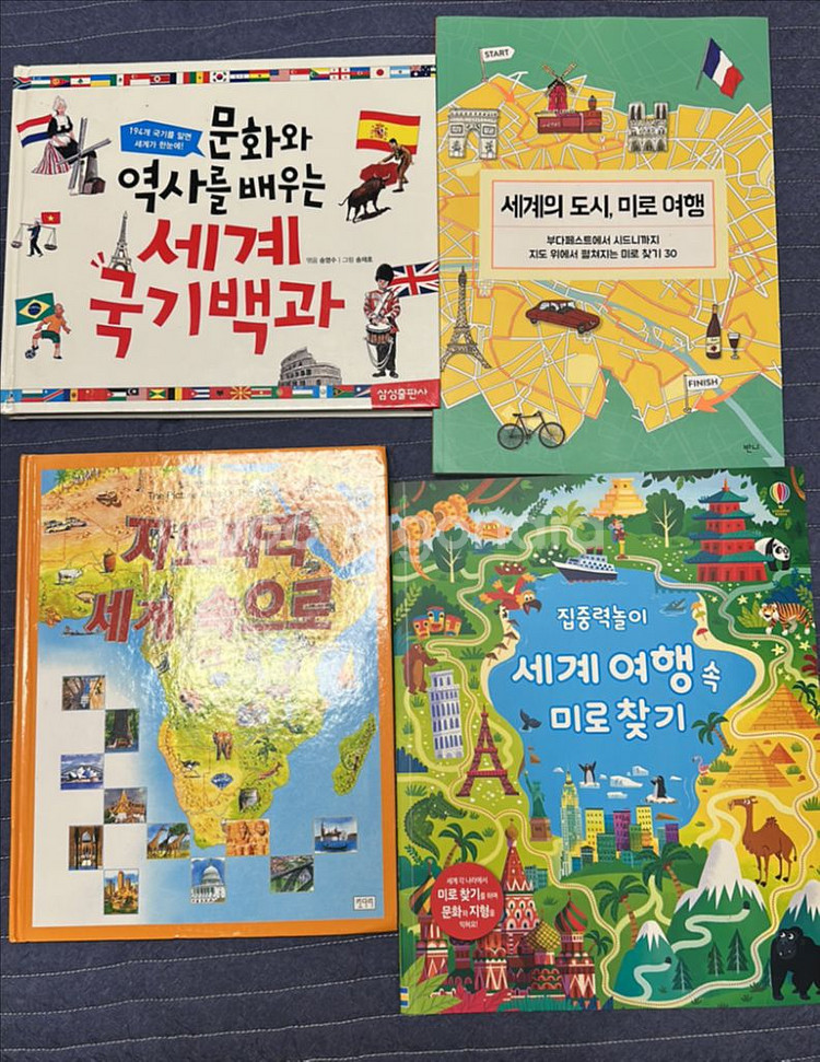 세계국기백과 지도따라세계속으로 세계의도시미로여행--0