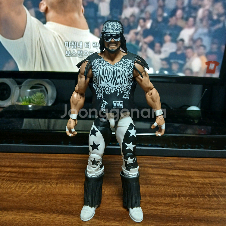 WWE 피규어 WCW 마초맨 랜디 새비지 nWo--0