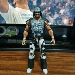 WWE 피규어 WCW 마초맨 랜디 새비지 nWo