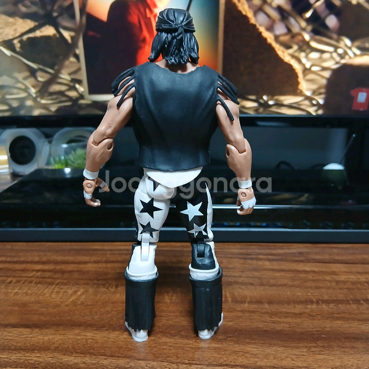 WWE 피규어 WCW 마초맨 랜디 새비지 nWo--1