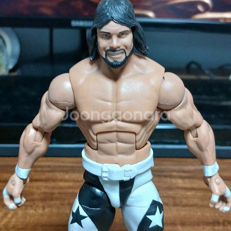WWE 피규어 WCW 마초맨 랜디 새비지 nWo--3