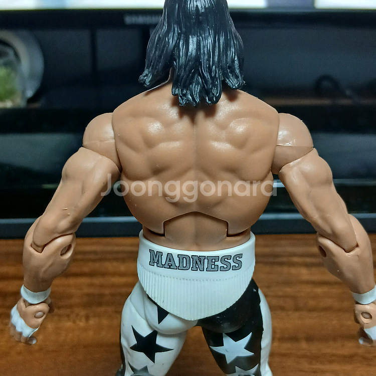 WWE 피규어 WCW 마초맨 랜디 새비지 nWo--4