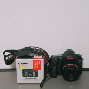 캐논 6D + 50mm f1.8 STM 판매합니다