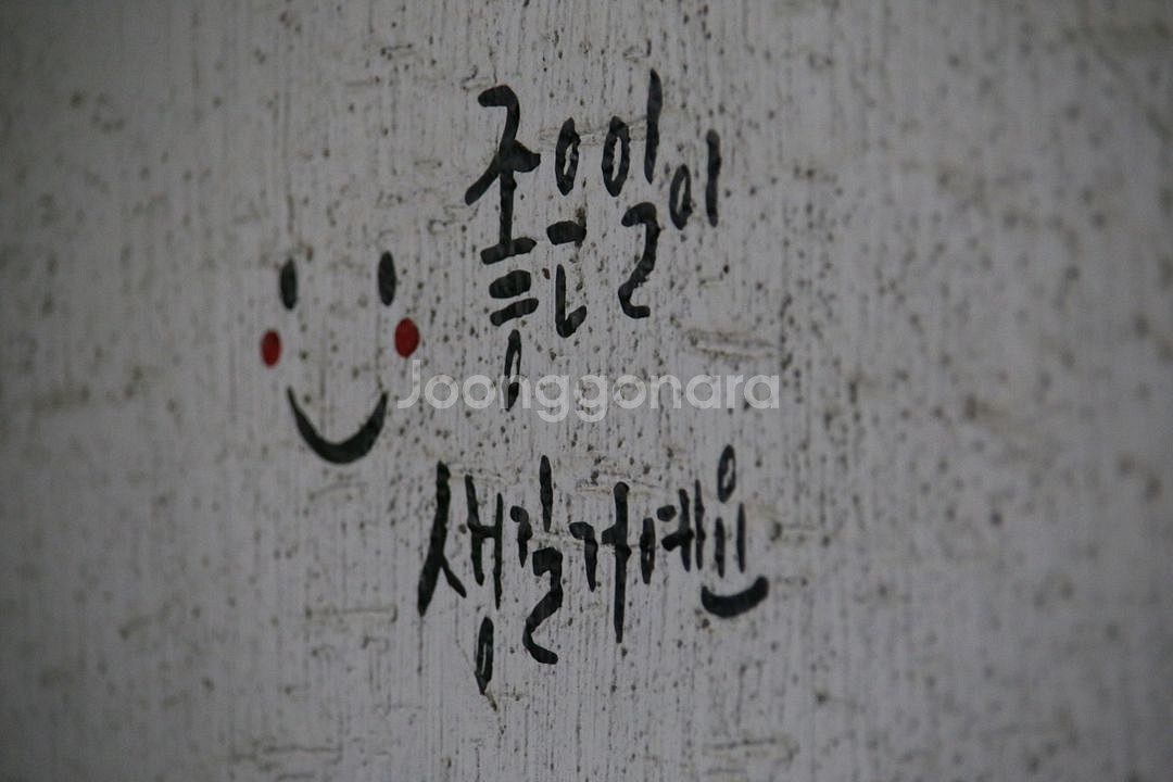 캐논 6D + 50mm f1.8 STM 판매합니다--3