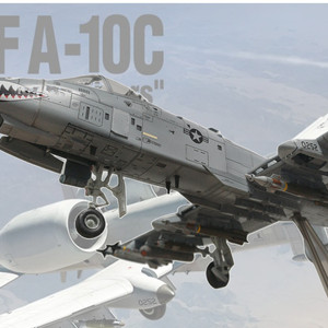 (프라모델 완성품) 미공군 A-10 전투기