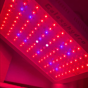 식물 성장 led 300w 600w t54구 형광등