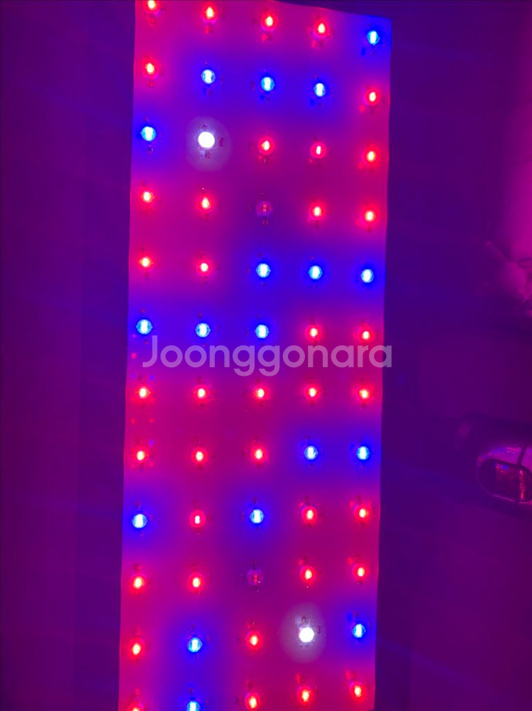 식물 성장 led 300w 600w t54구 형광등--2