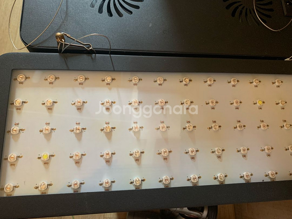 식물 성장 led 300w 600w t54구 형광등--3