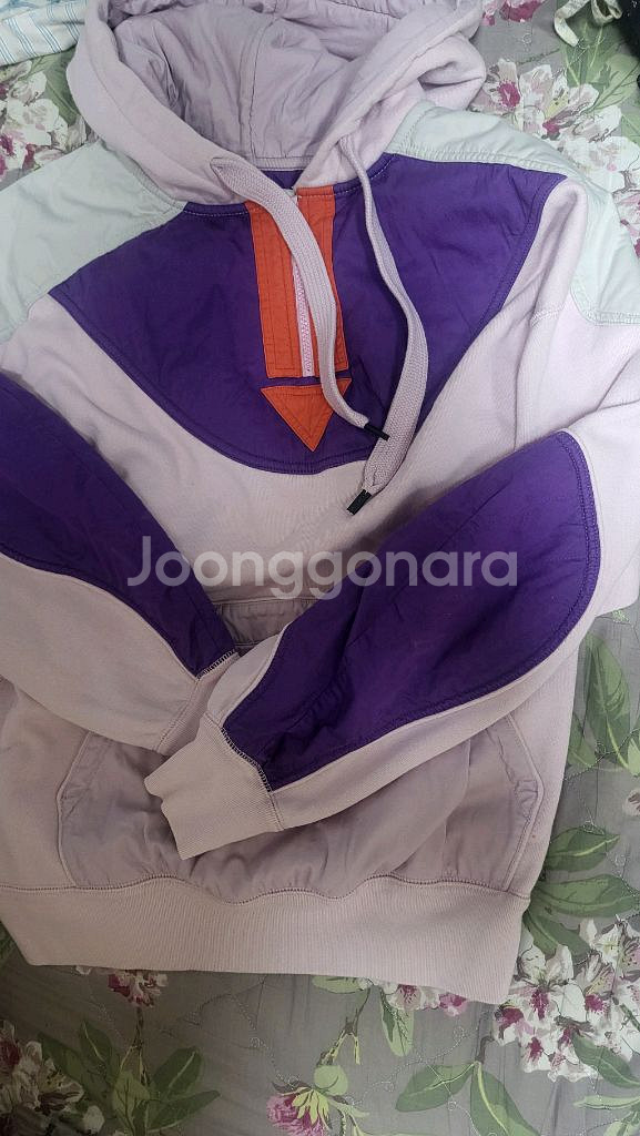 이자벨마랑 후드--4