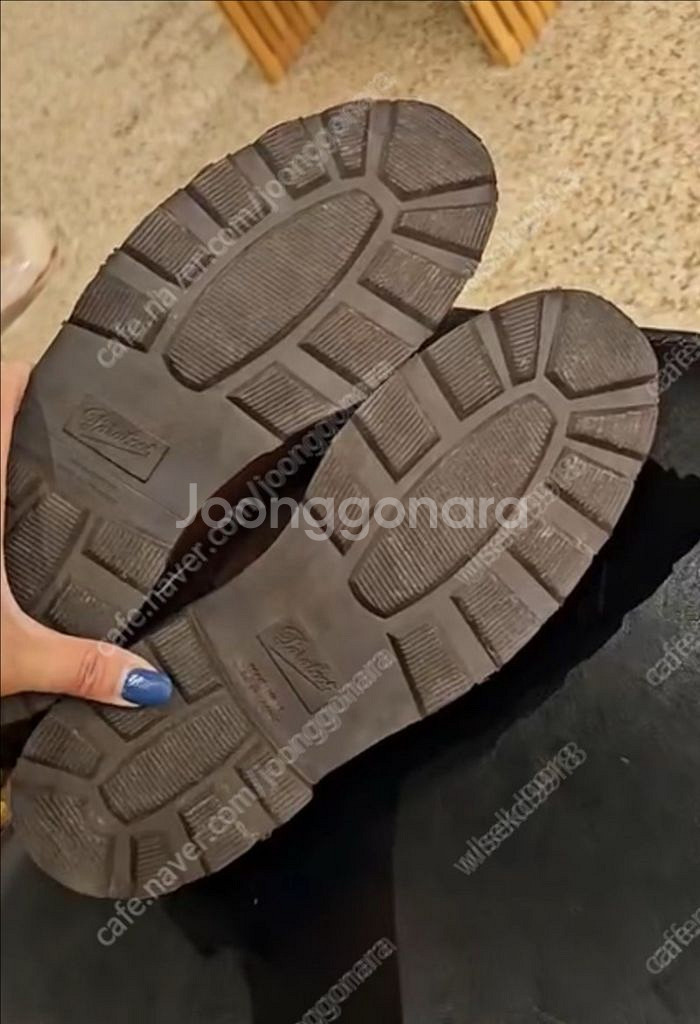 파라부트 미카엘 송치 투톤--3