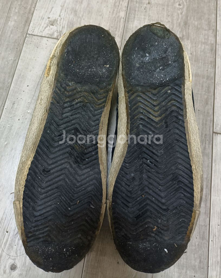 골든구스40 260--4