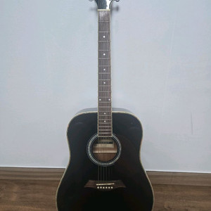 Dame Lilies 70 기타(GUITAR) 데일기타