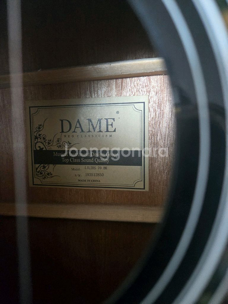 Dame Lilies 70 기타(GUITAR) 데일기타--1