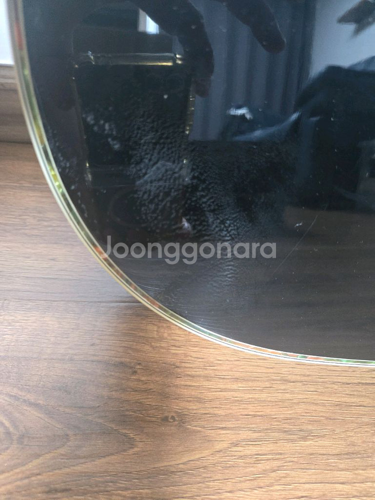 Dame Lilies 70 기타(GUITAR) 데일기타--2