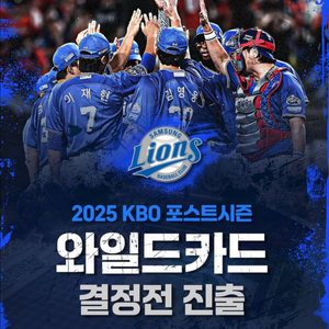 와일드카드 1차전 3루스카이상단 응원구역 통로 2연석