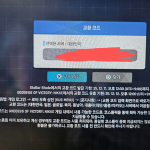 스텔라블레이드 니케코드 판매합니다