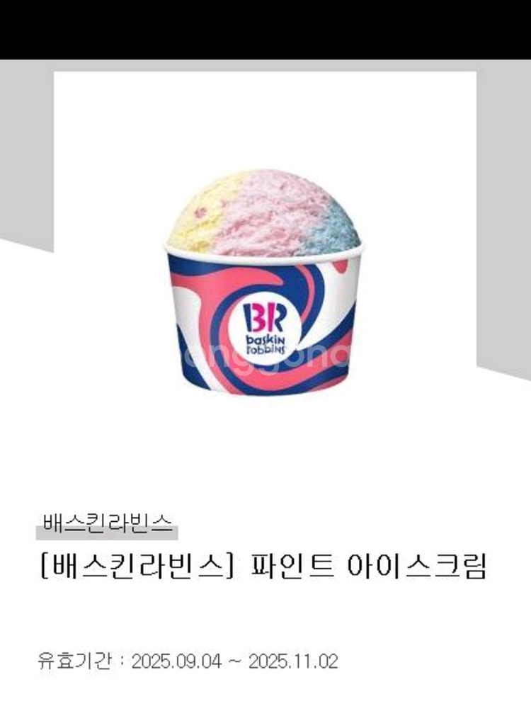 베스킨라빈스 파인트--0