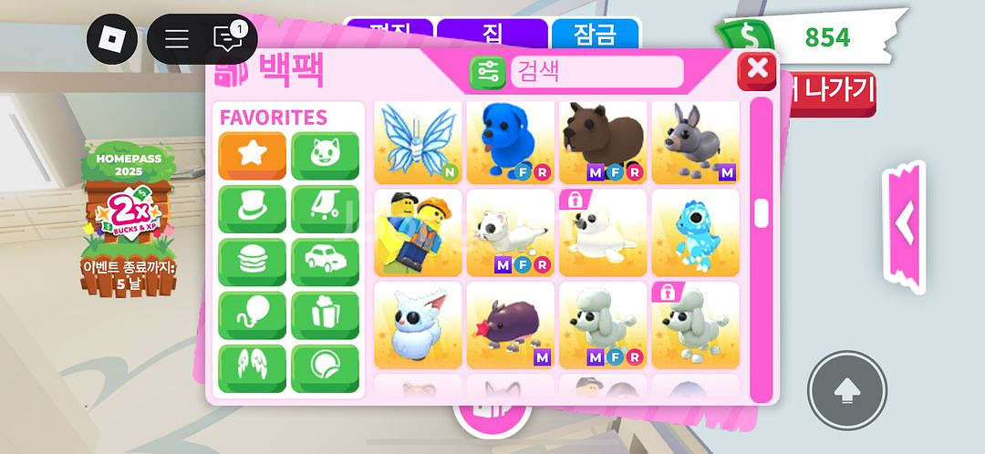 입양하세요 펫 현거로 팔아요--1
