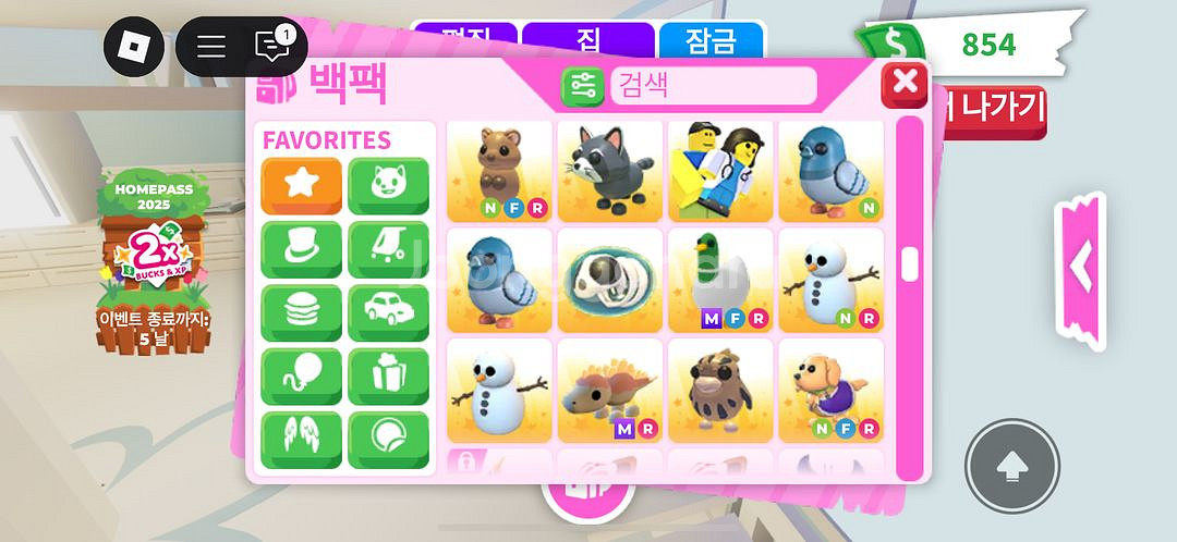 입양하세요 펫 현거로 팔아요--2