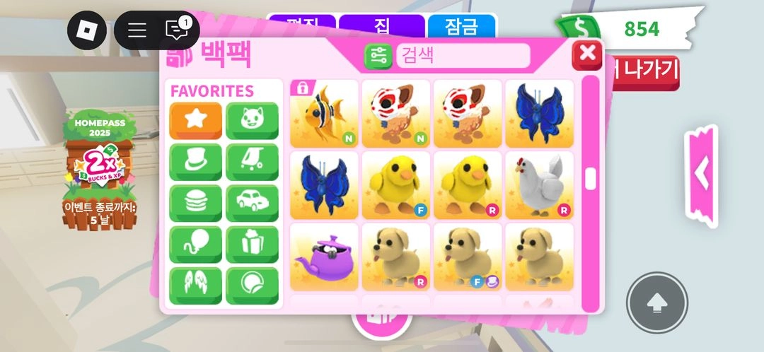 입양하세요 펫 현거로 팔아요 이미지