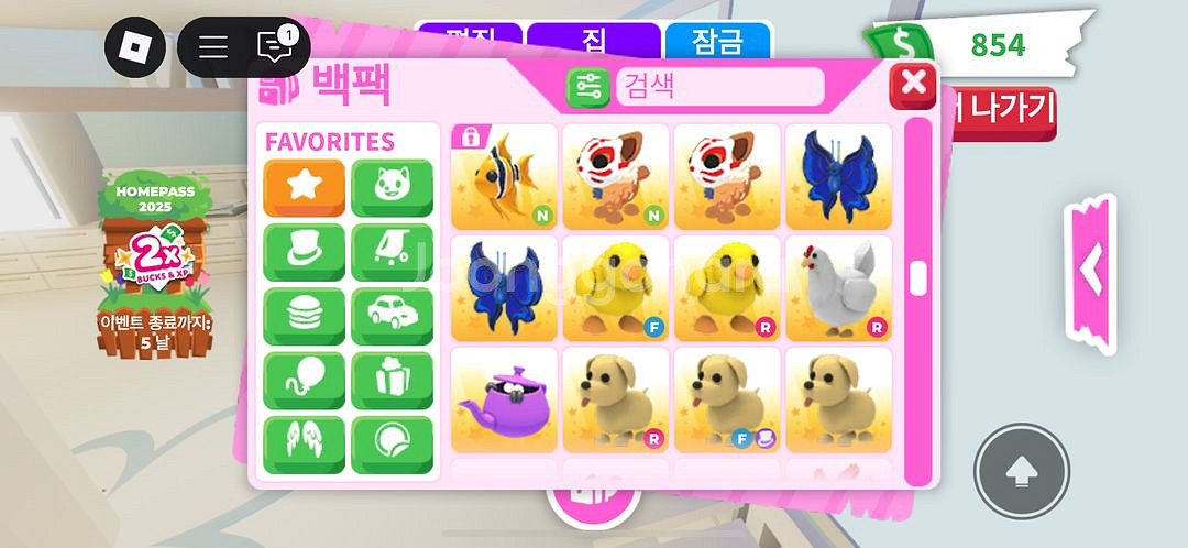 입양하세요 펫 현거로 팔아요--3