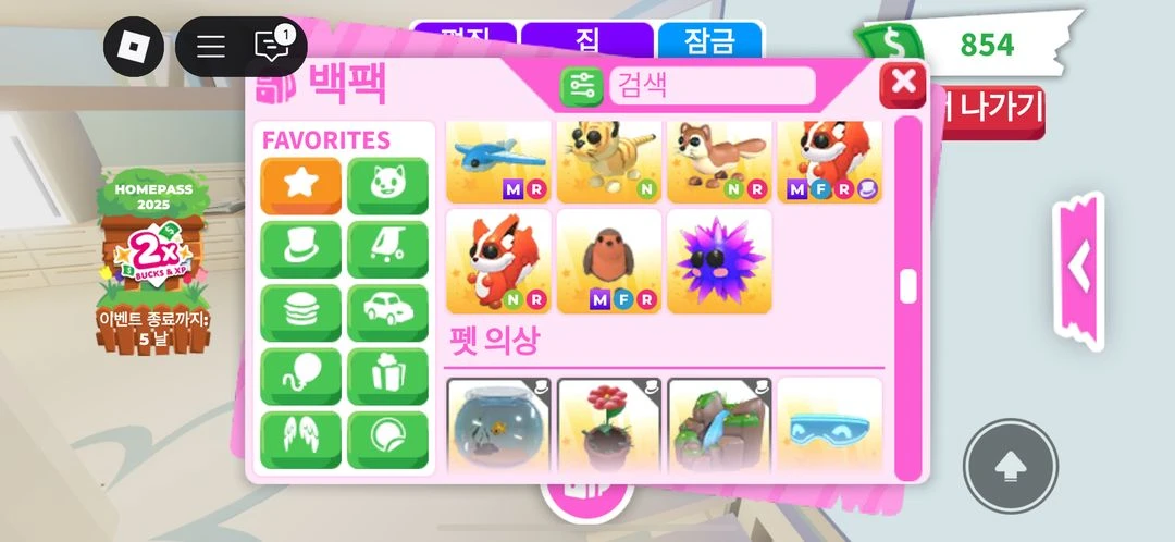입양하세요 펫 현거로 팔아요 이미지