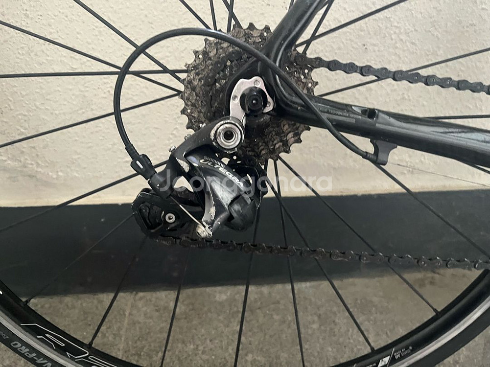 첼로 엘리엇 카본 로드--2