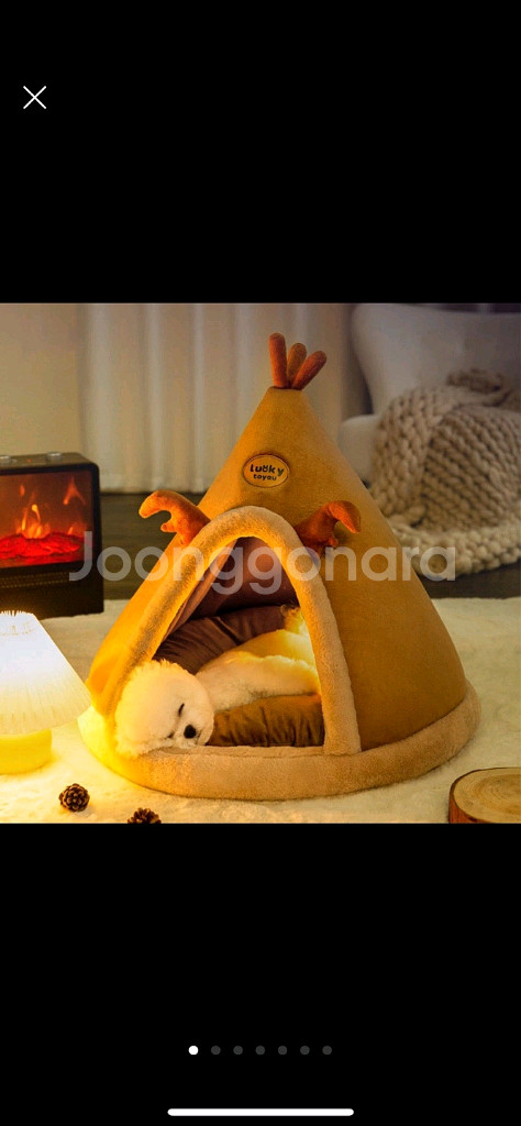 강아지 고양이 집 새상품--0
