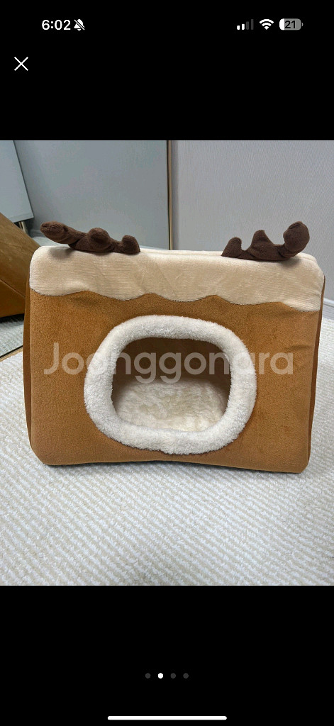 강아지 고양이 집 새상품--4
