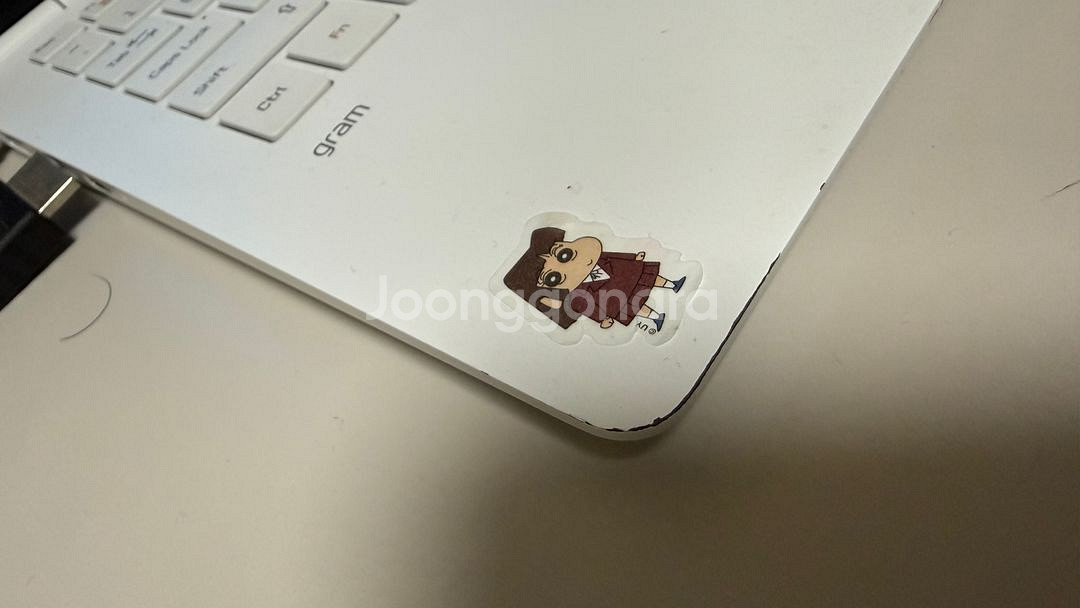 LG전자 13인치 그램 13Z980-GA50K--4