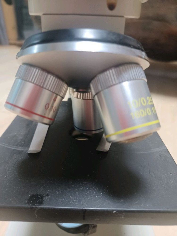 동원 실체현미경 최대 400배 2만원에 팝니다 이미지