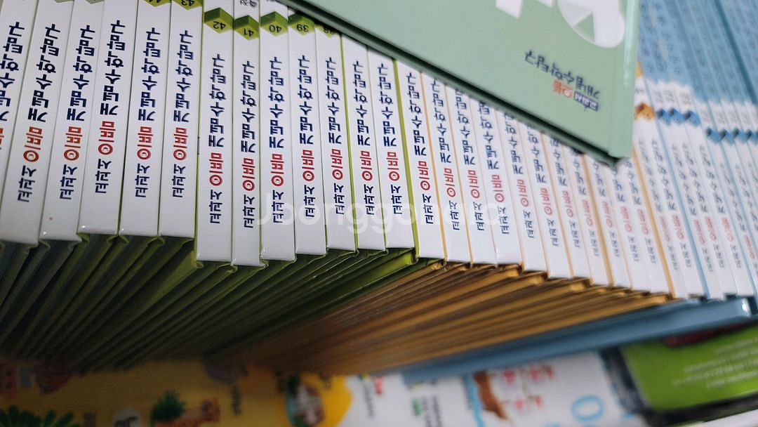 으뜸개념수학탐구--1