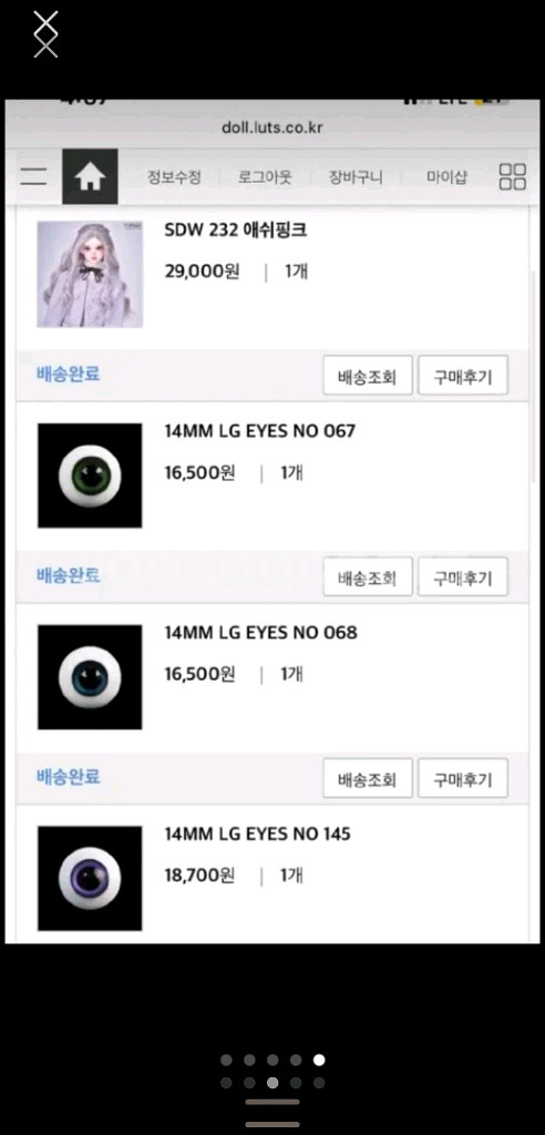 루츠돌 시니어65델프 의상 가발 신발 안구 10종 일괄--2