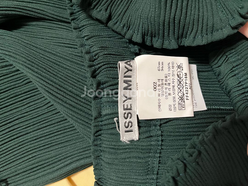 이세이미야케 해칭 2024년도 2월 다크그린--2