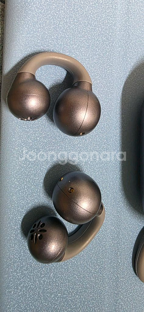 Sanag z36s pro 이어폰--2
