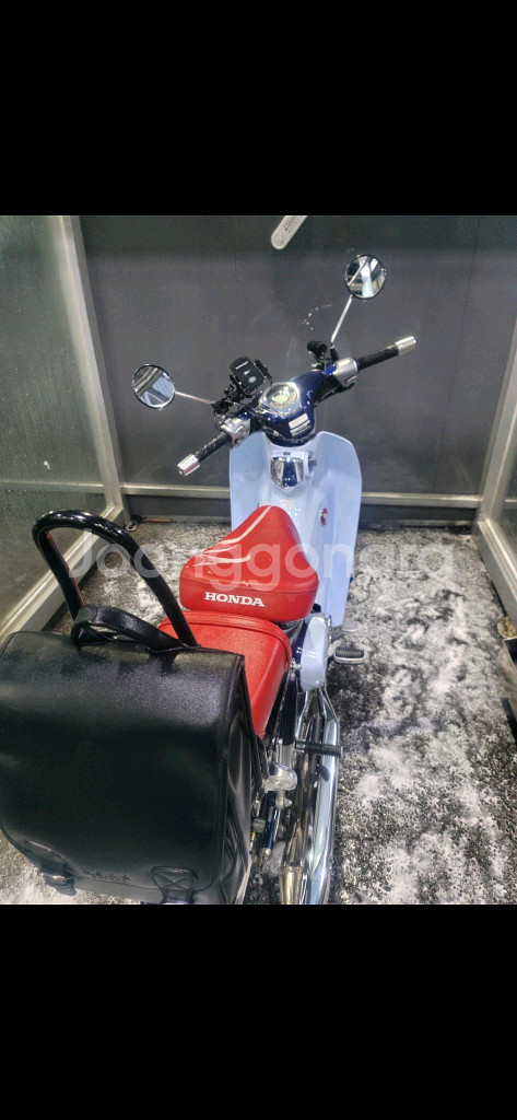 상태좋은 2022년식 혼다 C125 흰색+파란색 팝니다--1
