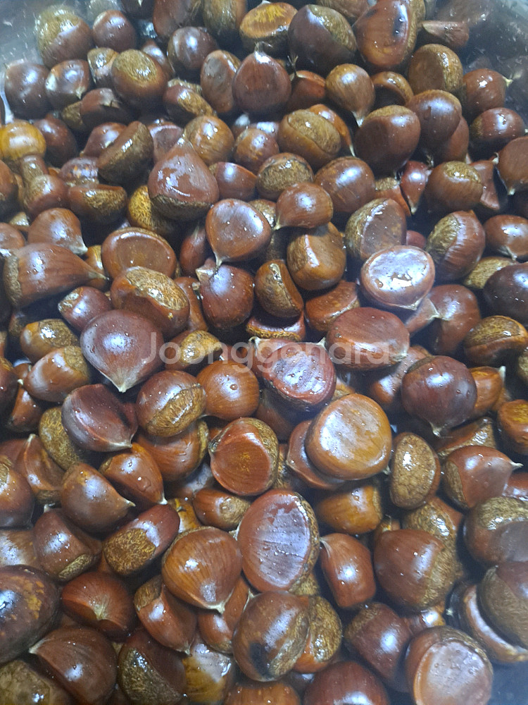 직접주운 햇밤 생밤 판매해요 3kg/5kg--0