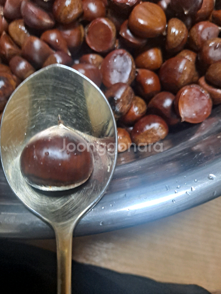 직접주운 햇밤 생밤 판매해요 3kg/5kg--3
