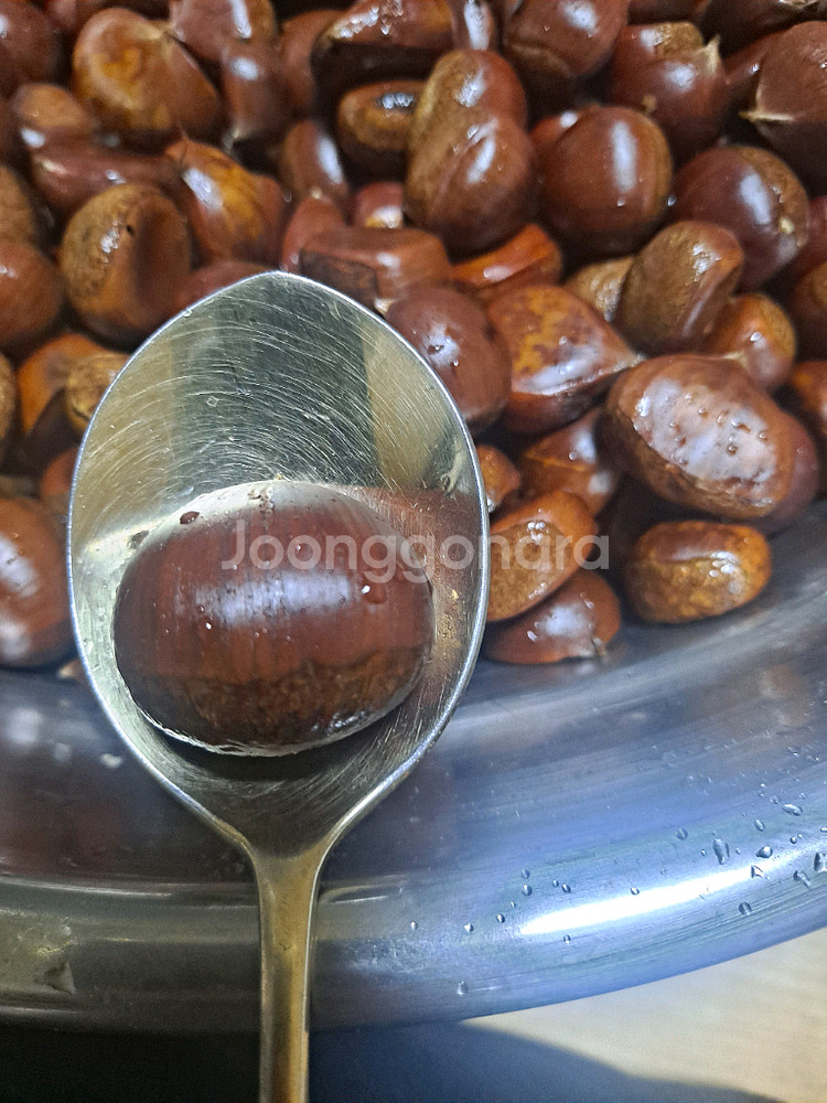 직접주운 햇밤 생밤 판매해요 3kg/5kg--2