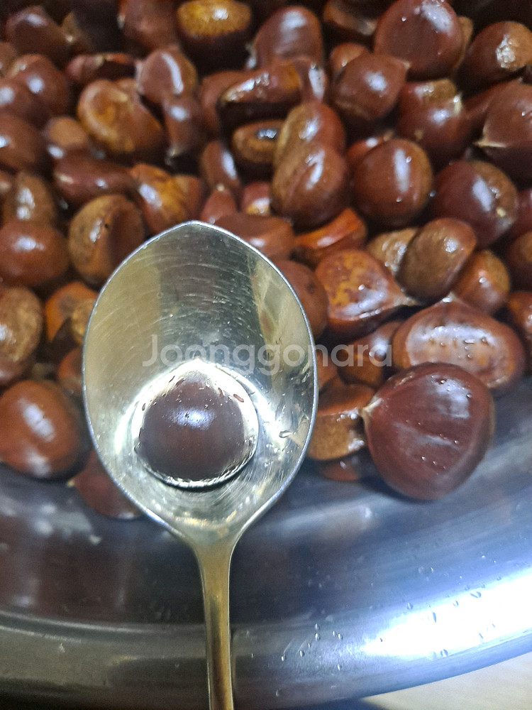 직접주운 햇밤 생밤 판매해요 3kg/5kg--4