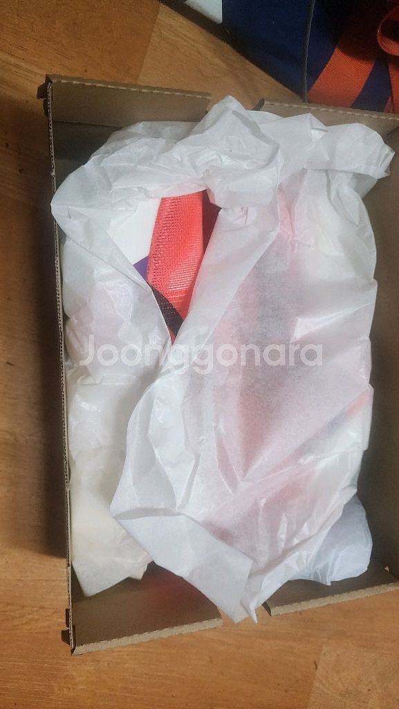 아식스 메타스피드 엣지 도쿄--2